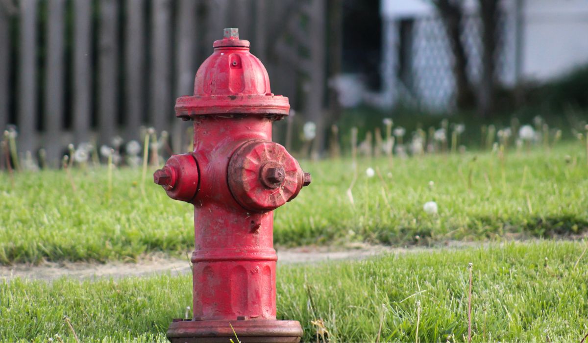 Fire Hydrant Detail